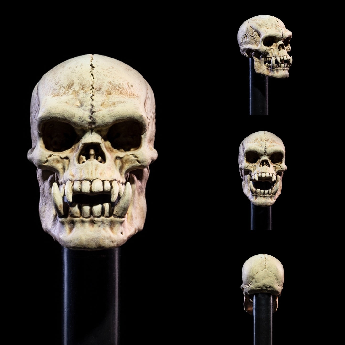 Mythic Legions All Stars 6 Undead Heads Pack PREORDER