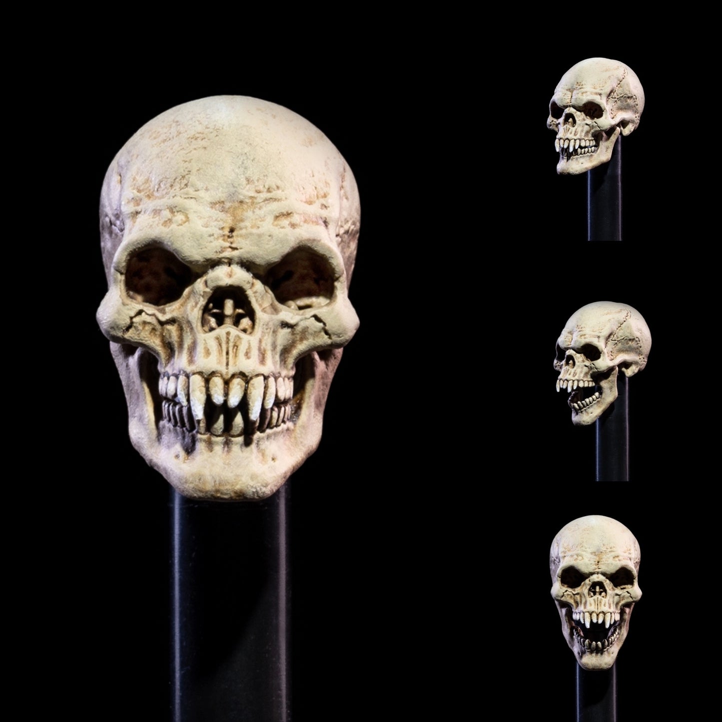 Mythic Legions All Stars 6 Undead Heads Pack PREORDER
