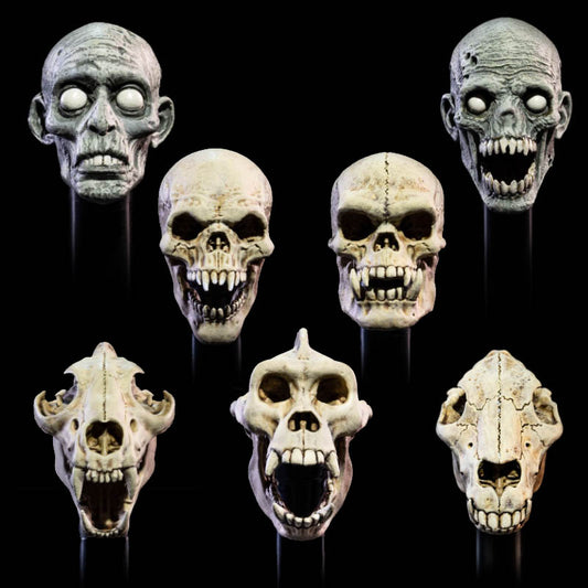 Mythic Legions All Stars 6 Undead Heads Pack