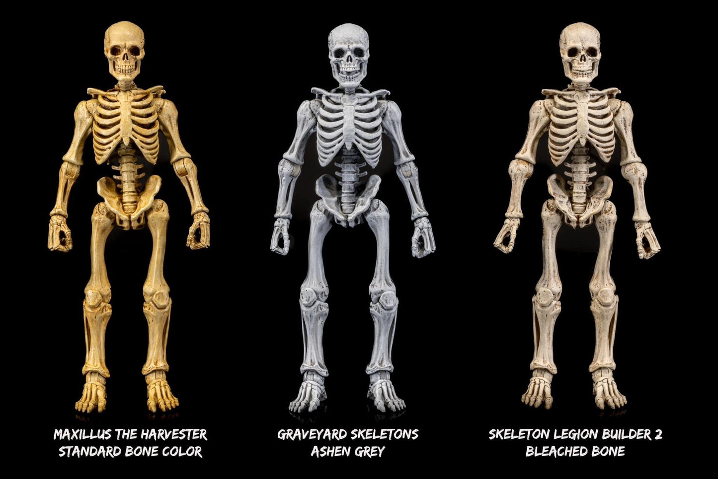 Mythic Legions Graveyard Skeletons 4 Pack PREORDER