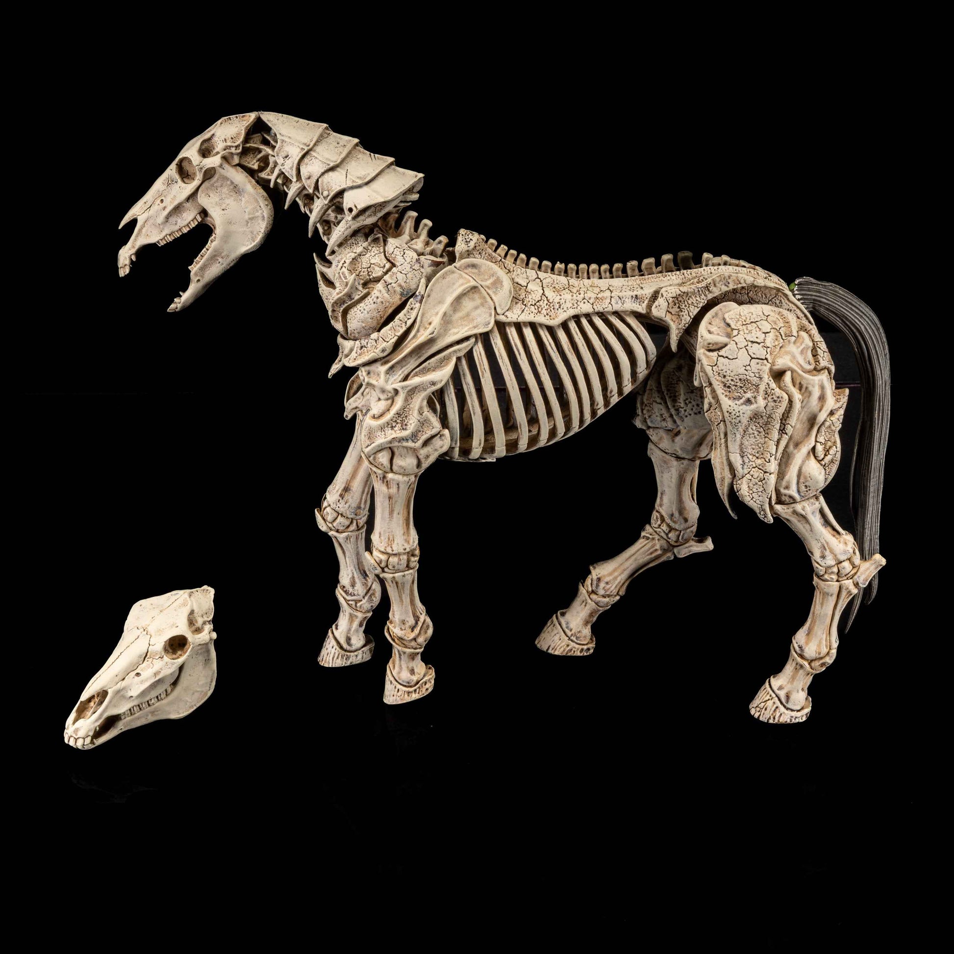 Mythic Legions Reinforcements 3 Skeleton Steed Legion Builder PREORDER